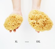 Porównanie rozmiaru XL i XXL