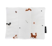 18567.jpg